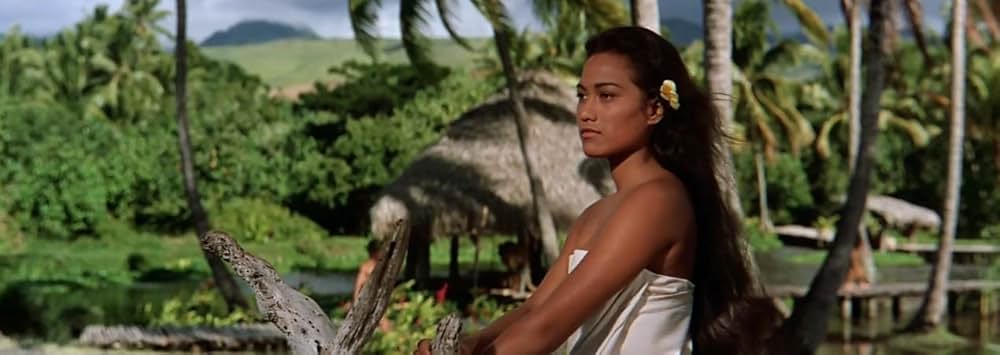 戦艦バウンティの画像