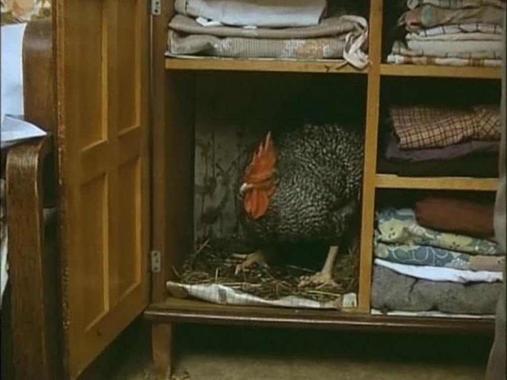 悦楽共犯者の画像