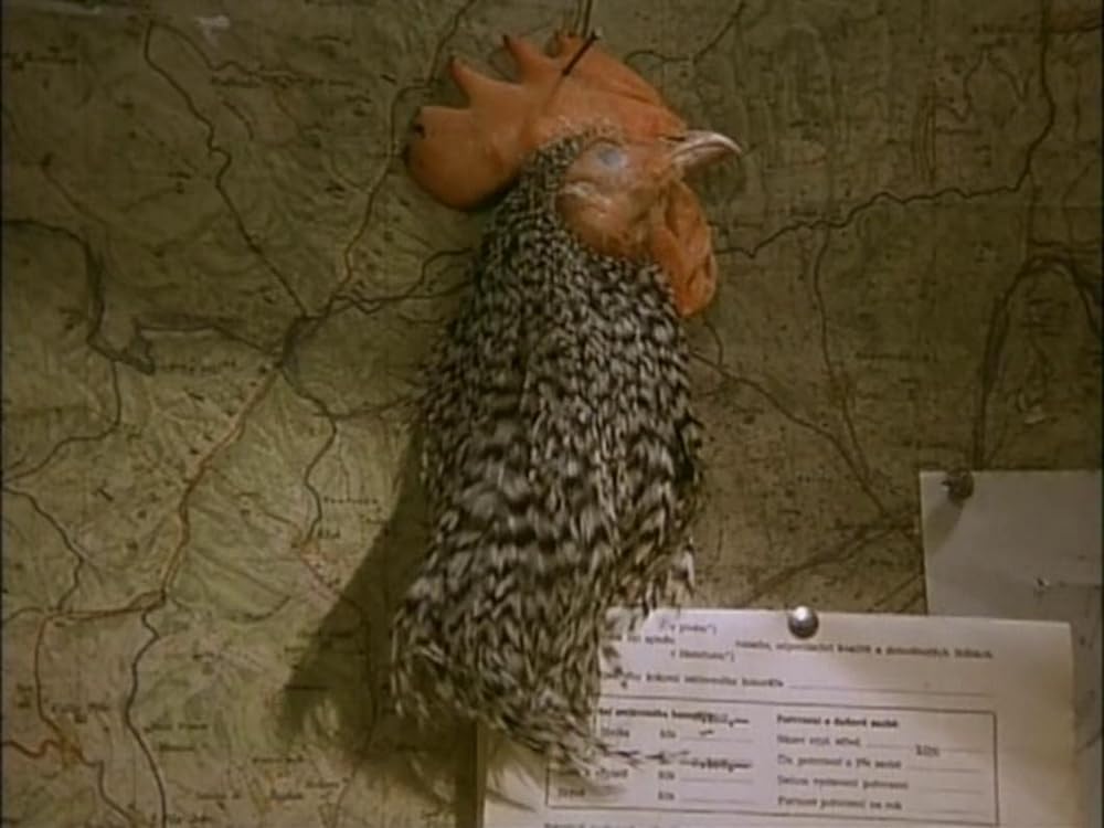 悦楽共犯者の画像