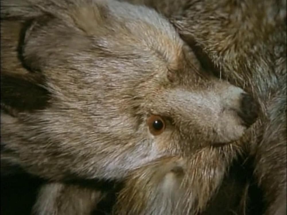 悦楽共犯者の画像