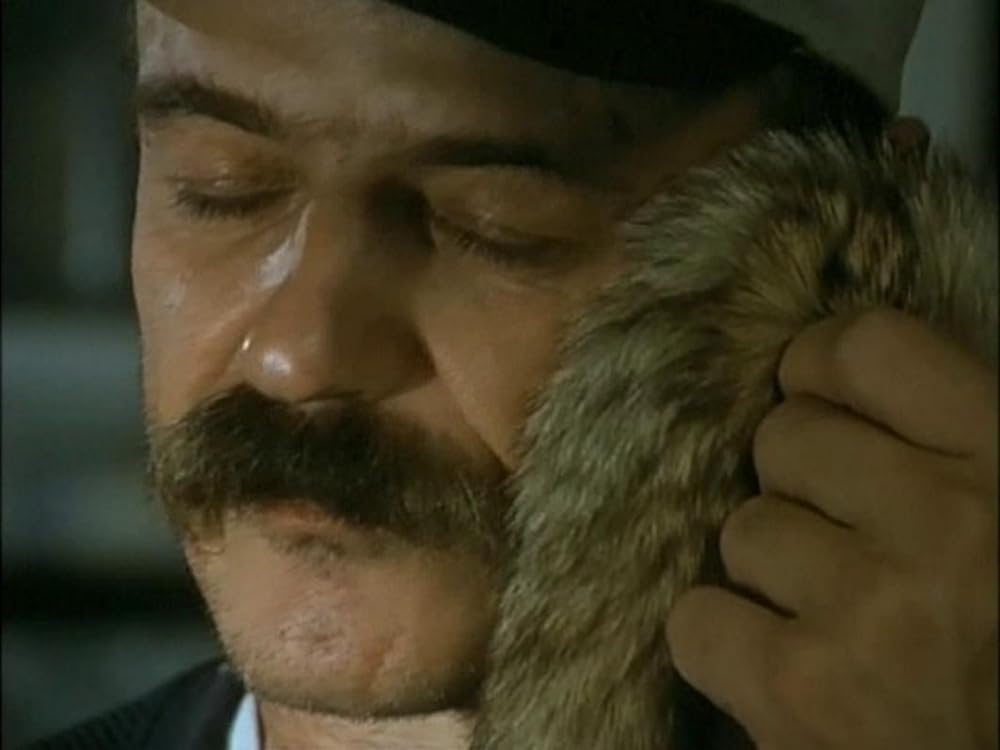 悦楽共犯者の画像