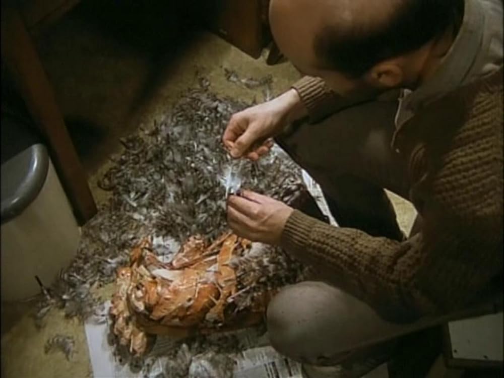 悦楽共犯者の画像