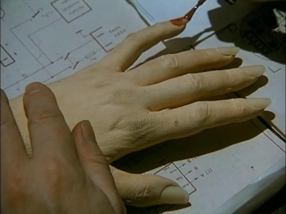 悦楽共犯者の画像