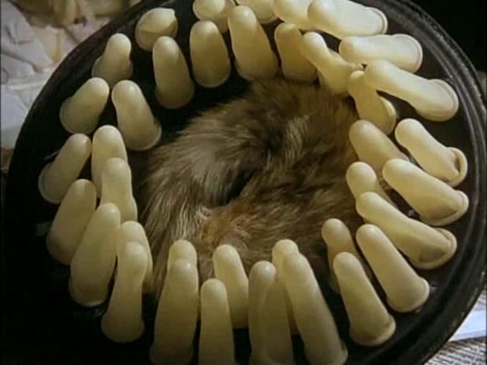 悦楽共犯者の画像