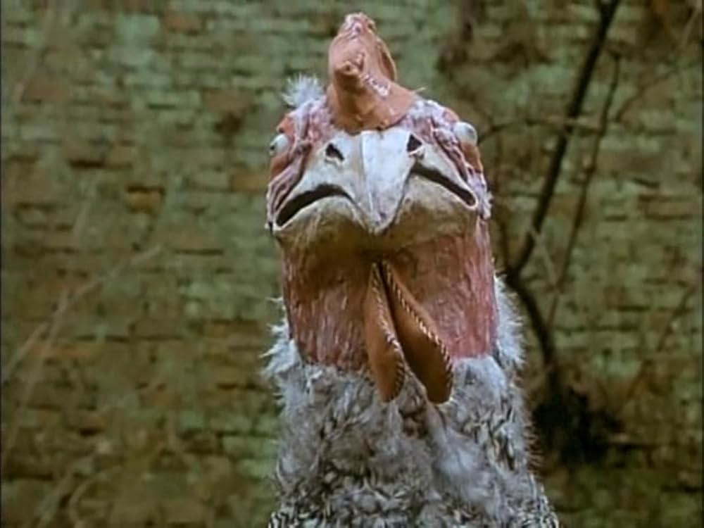 悦楽共犯者の画像