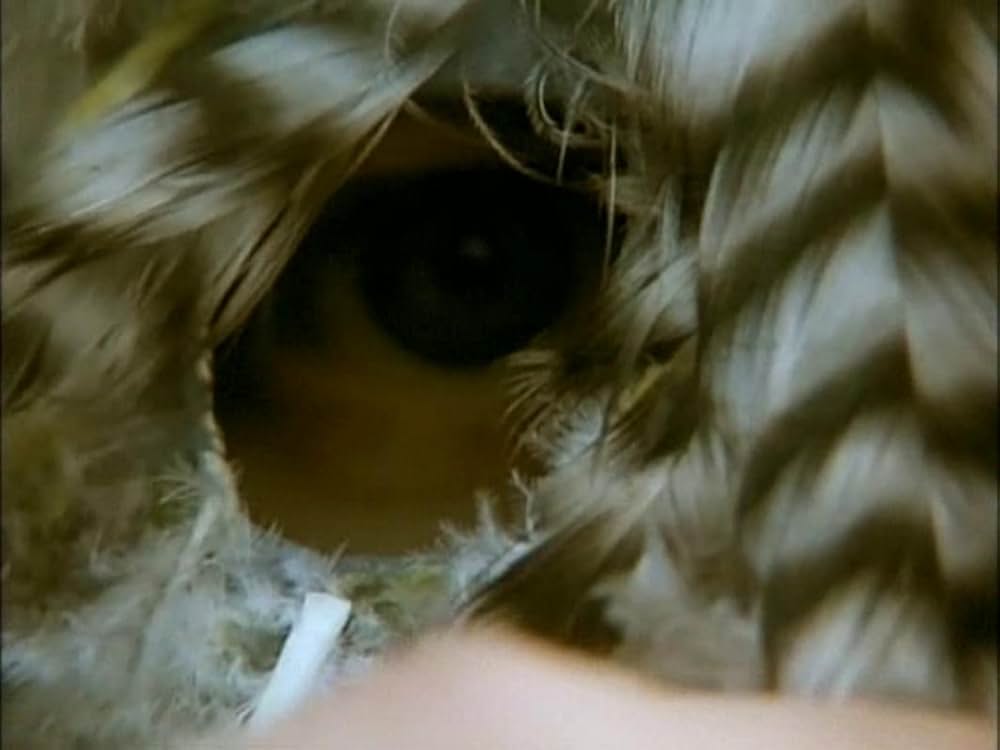 悦楽共犯者の画像