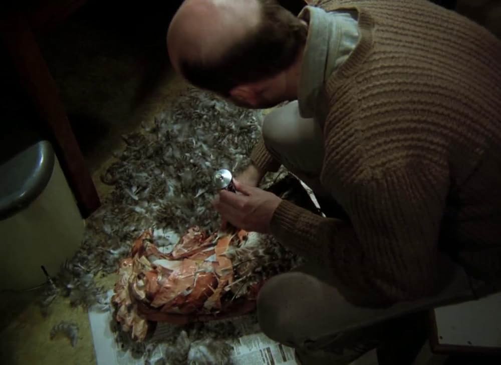 悦楽共犯者の画像