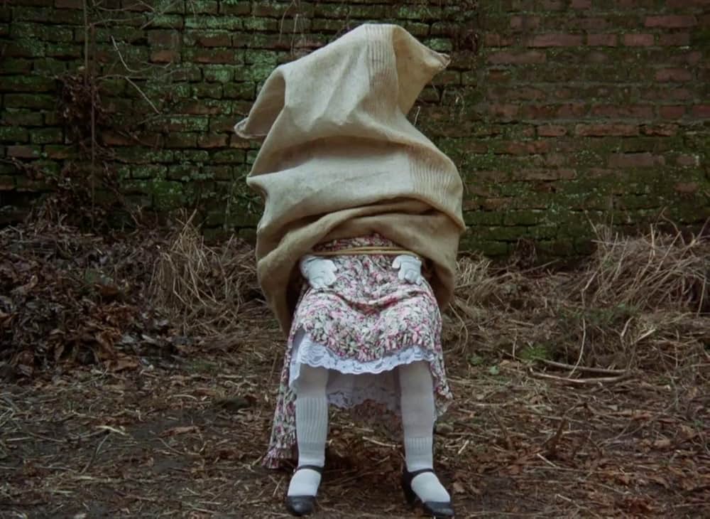 悦楽共犯者の画像