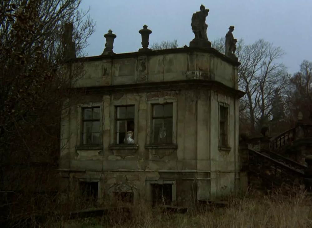 悦楽共犯者の画像