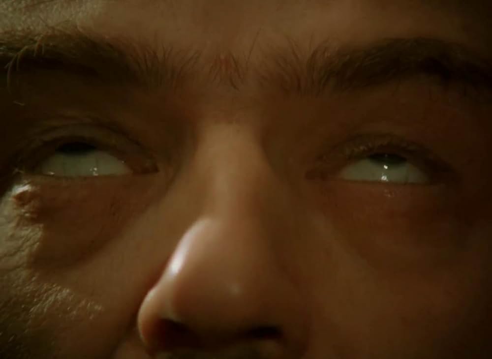 悦楽共犯者の画像