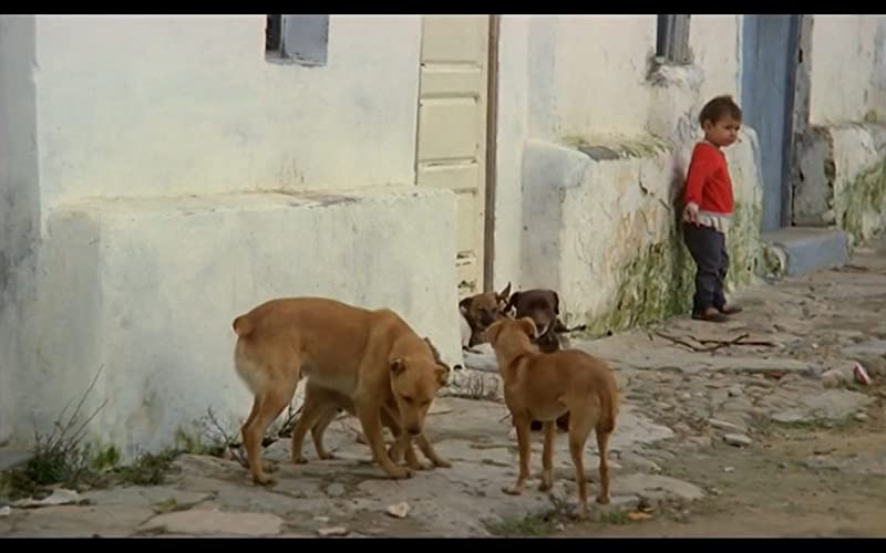 無垢なる聖者の画像