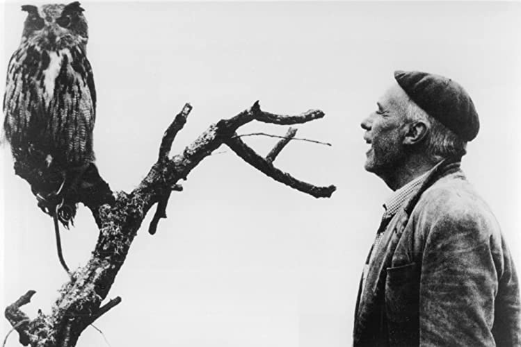 無垢なる聖者の画像