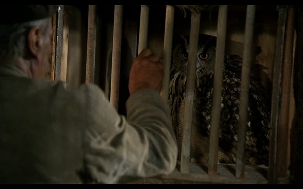 無垢なる聖者の画像