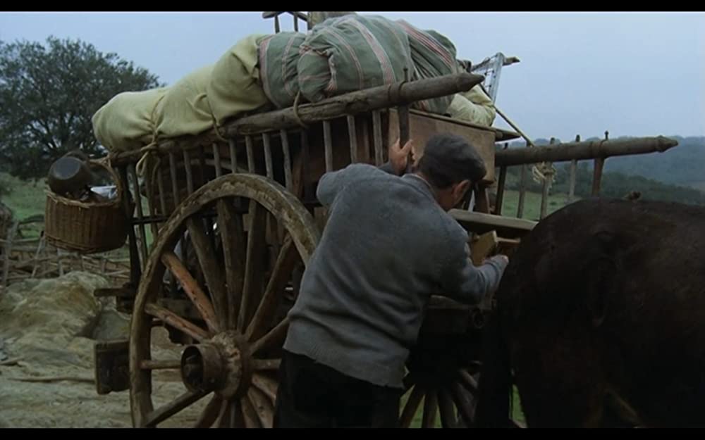 無垢なる聖者の画像