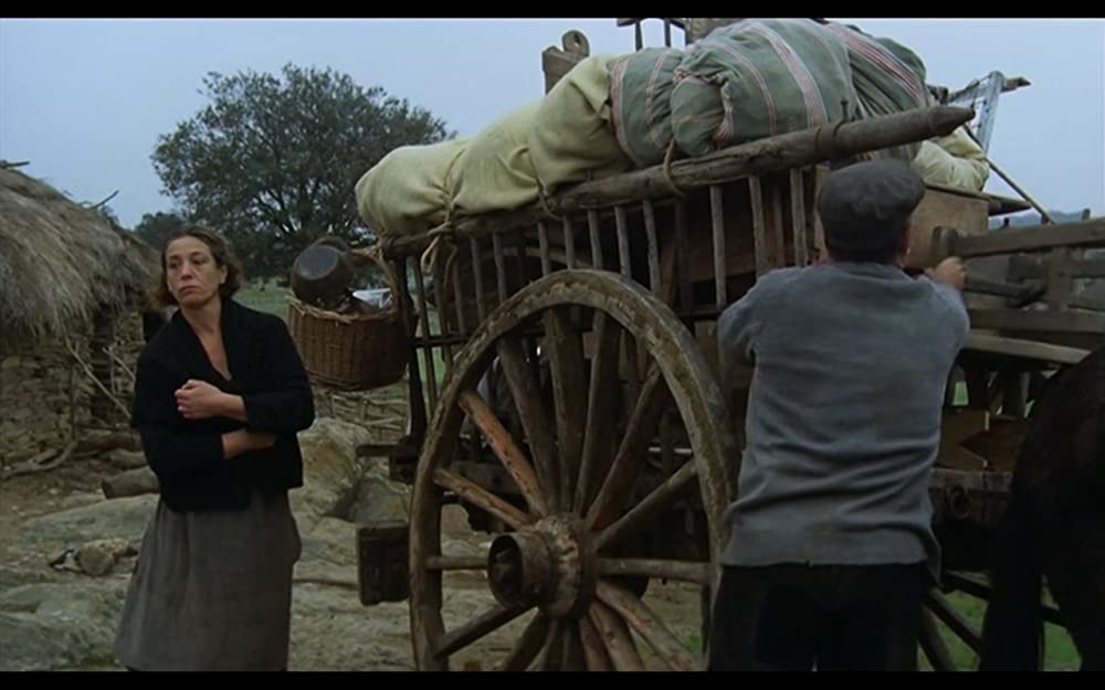 無垢なる聖者の画像