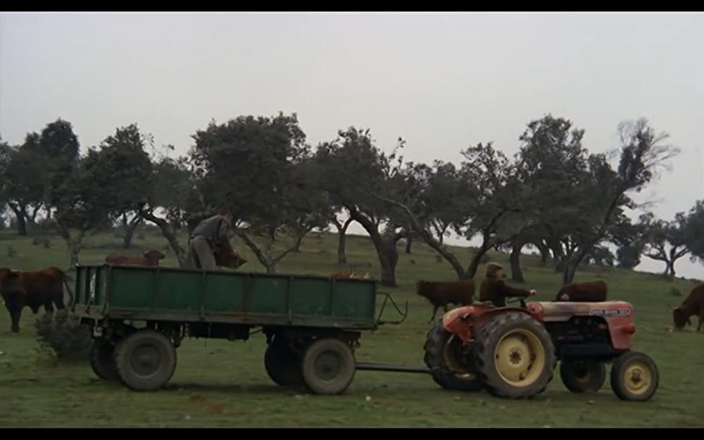 無垢なる聖者の画像