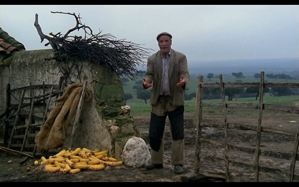 無垢なる聖者の画像