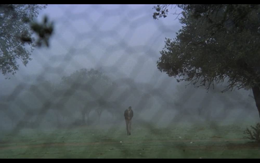 無垢なる聖者の画像