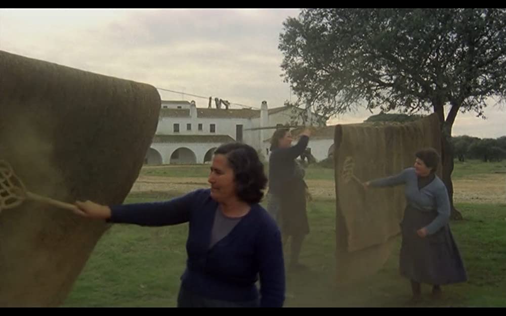 無垢なる聖者の画像