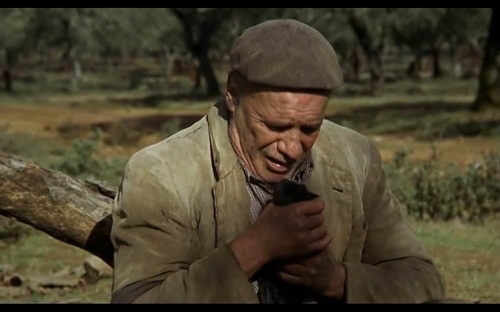 無垢なる聖者の画像