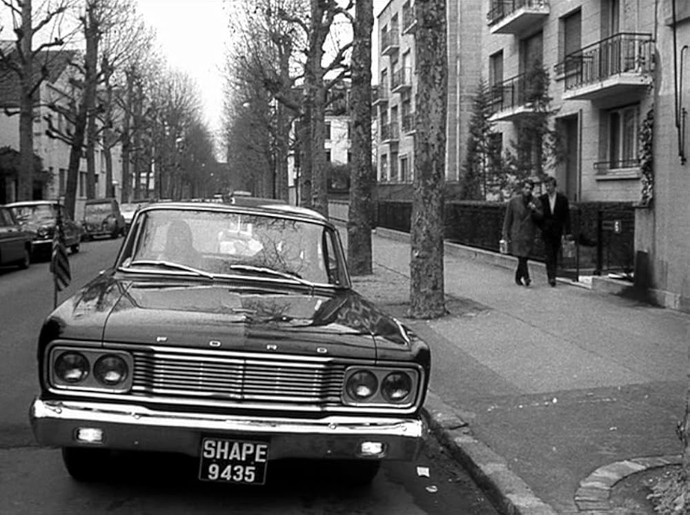 男性・女性の画像