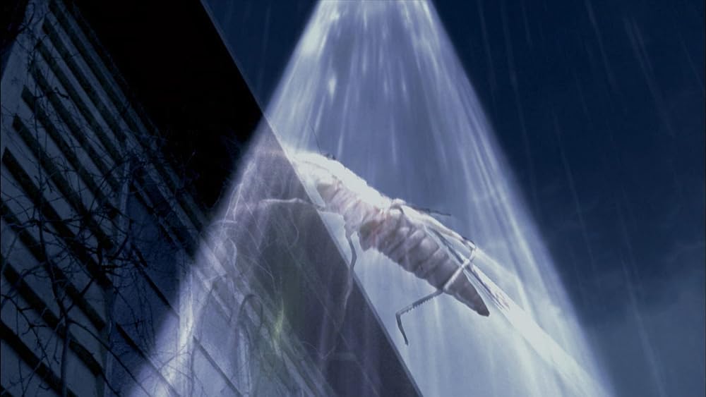 アンデッドの画像