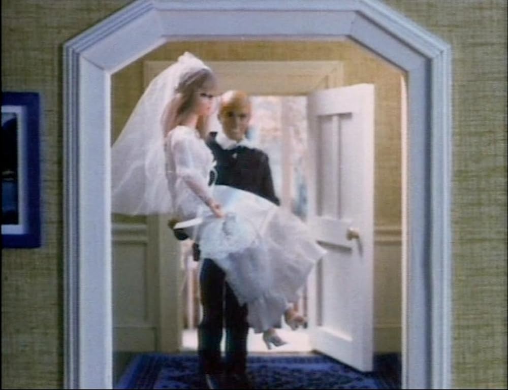 アイダホ・ポテト・ライブの画像