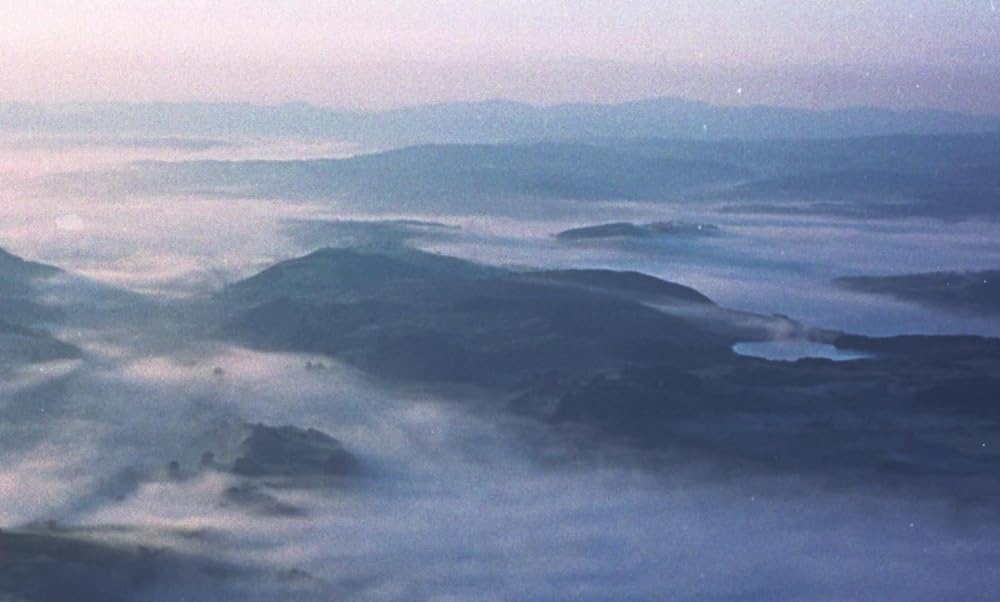 「サイレント・ツインズ」の画像