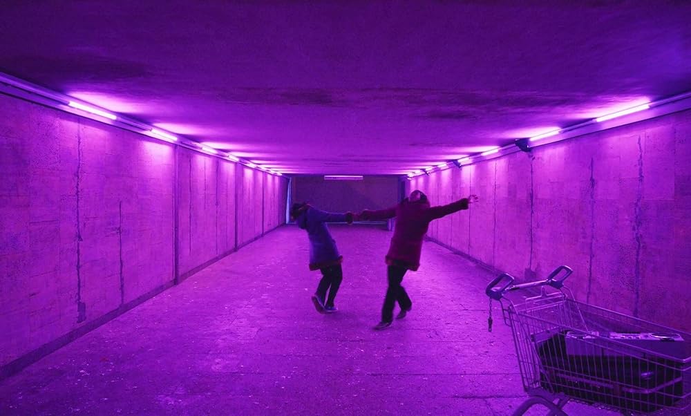 「サイレント・ツインズ」の画像