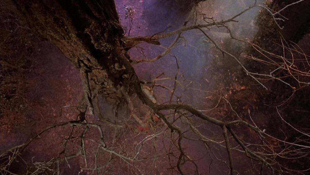 狼の血族の画像