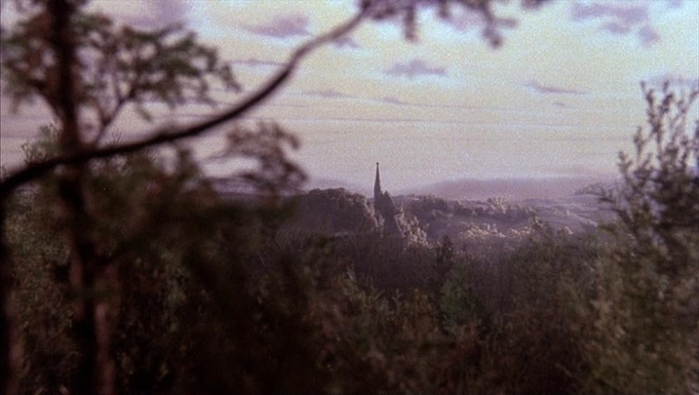 狼の血族の画像