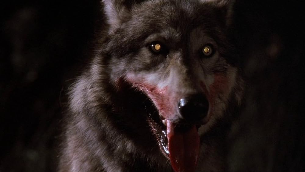 狼の血族の画像