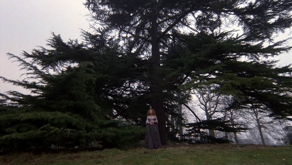 狼の血族の画像