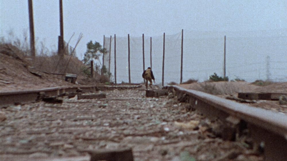 スウィート・スウィートバックの画像