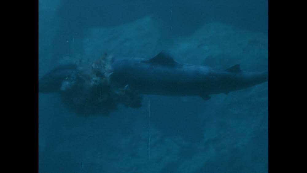 ジョーズ・リターンズの画像