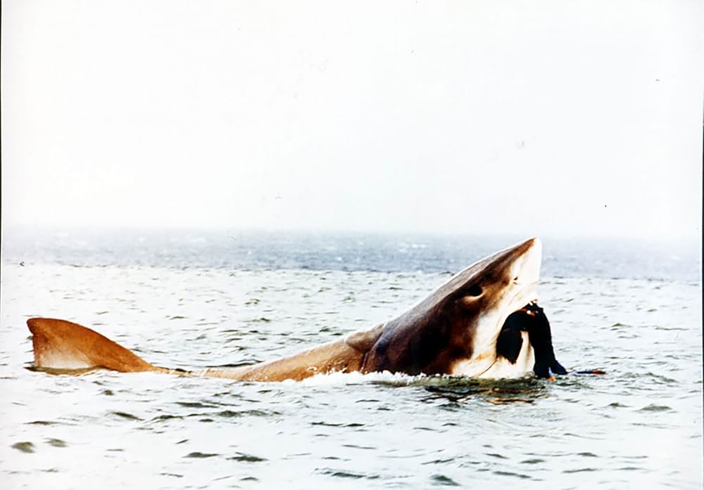 ジョーズ・リターンズの画像