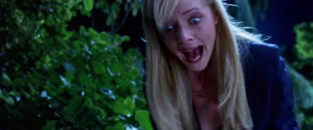 バレンタインの画像