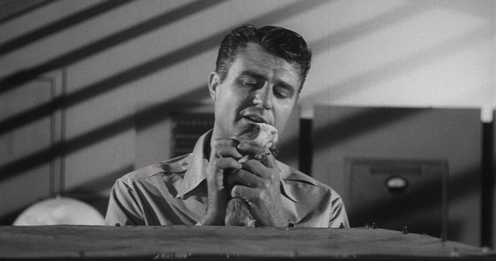 昆虫怪獣の襲来の画像