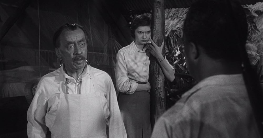 昆虫怪獣の襲来の画像