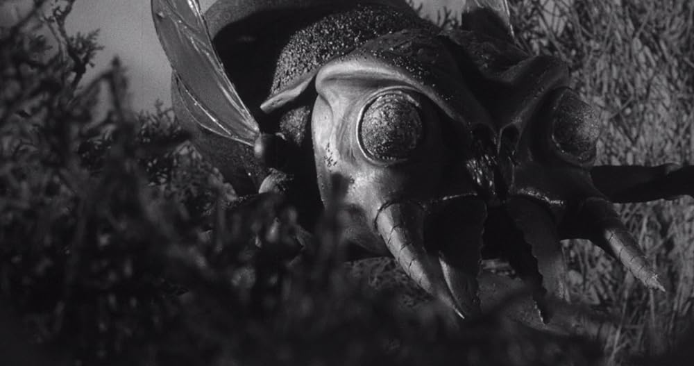 昆虫怪獣の襲来の画像