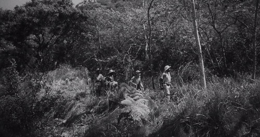 昆虫怪獣の襲来の画像