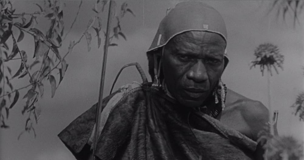 昆虫怪獣の襲来の画像