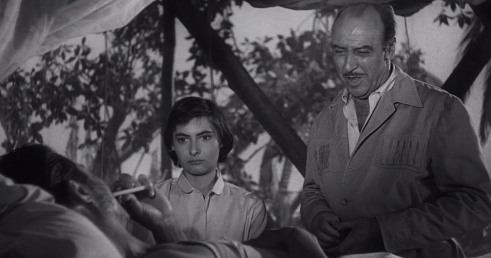 昆虫怪獣の襲来の画像