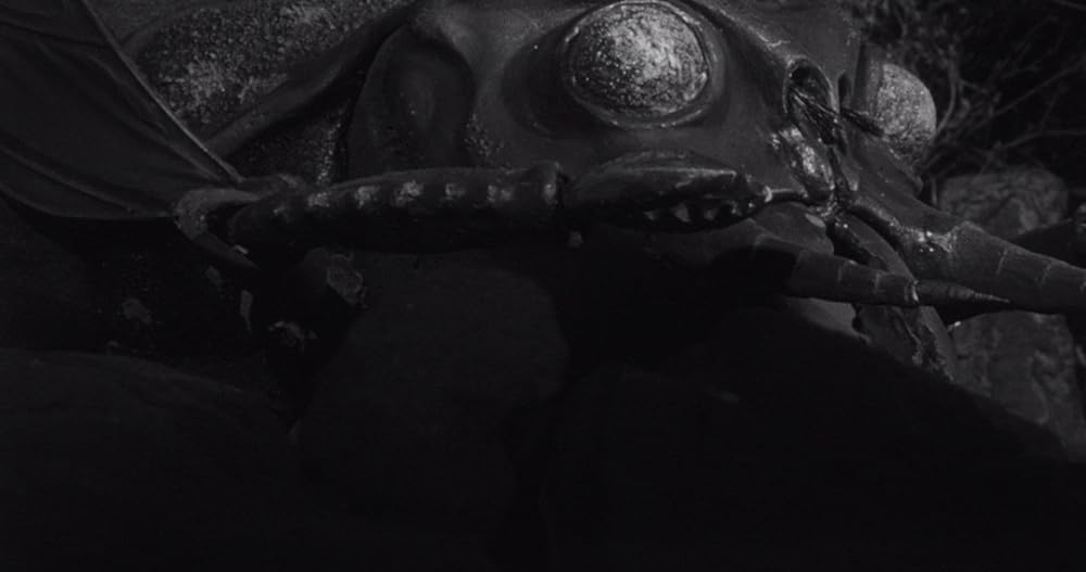 昆虫怪獣の襲来の画像