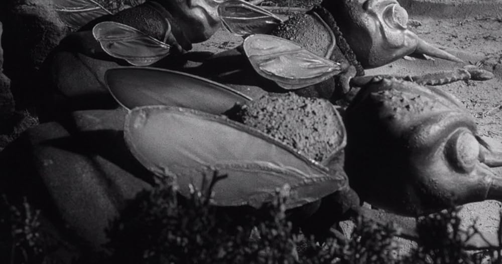 昆虫怪獣の襲来の画像