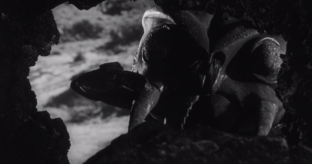 昆虫怪獣の襲来の画像