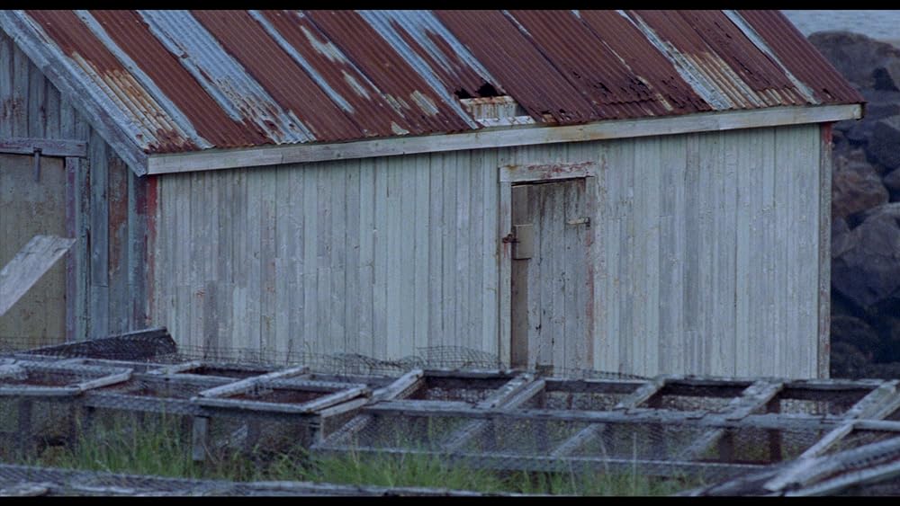 不眠症 オリジナル版 インソムニアの画像