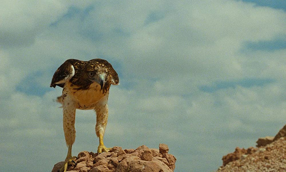 パリ、テキサス 2K レストア版の画像