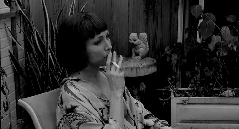 セレブリティの画像