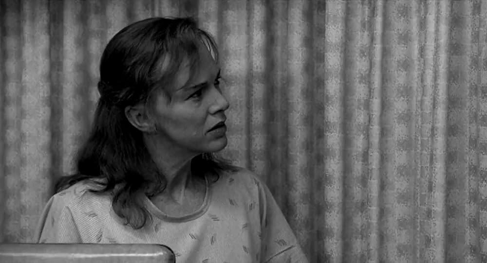 セレブリティの画像